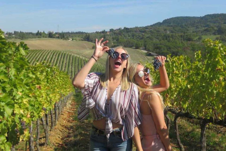 Florence: Private Siena, San Gimignano and Chianti Tour - Admiring Chianti Region