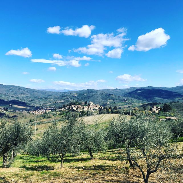 Florence: Tuscany & Chianti Classico Wine & Hike With Lunch - Saffron Producer Visit