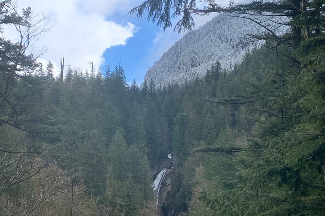 Forest Hike to Gorgeous Twin and Snoqualmie Falls - Booking and Cancellation Policy