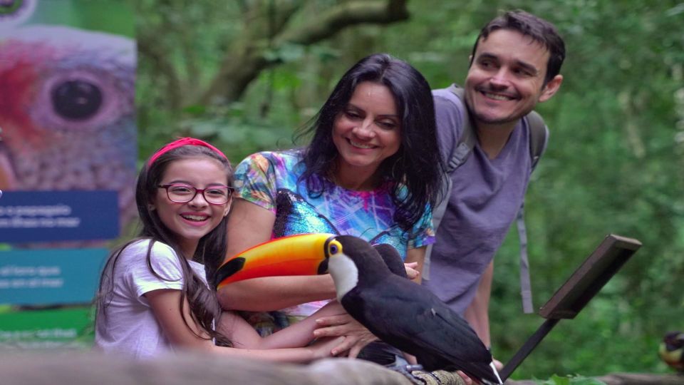 Foz Do Iguaçu: Brazilian Side of the Falls Bird Park - Frequently Asked Questions