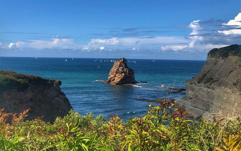 French Basque Country Coastline Tour in a 70SVW Van - Unique Features of the Tour