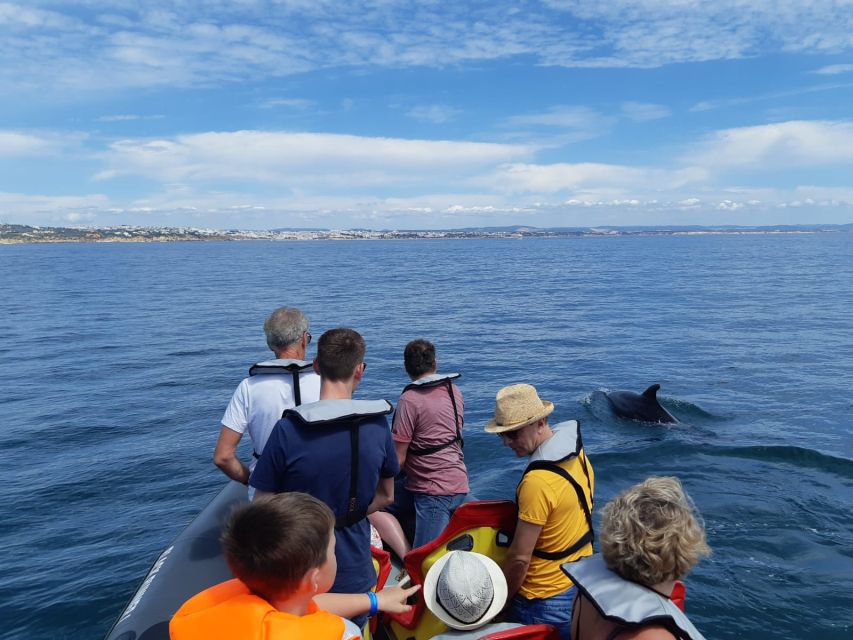 From Albufeira: Benagil Caves and Dolphins Guided Boat Tour - Discovering Caves and Beaches