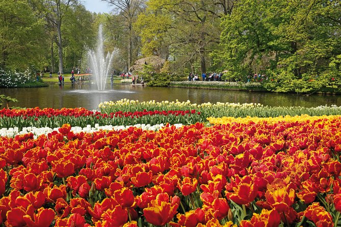 From Amsterdam: Keukenhof Flower Park Ticket and Transfer 2025 - Explore at Your Pace