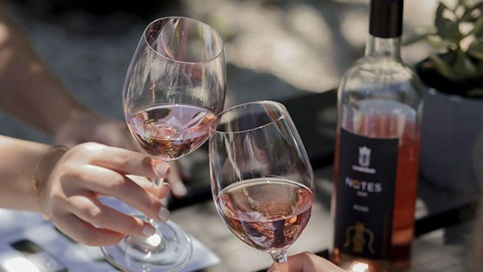 From Argostoli: Private Wine Tasting & Vineyard Tour - Recommendations for Visitors