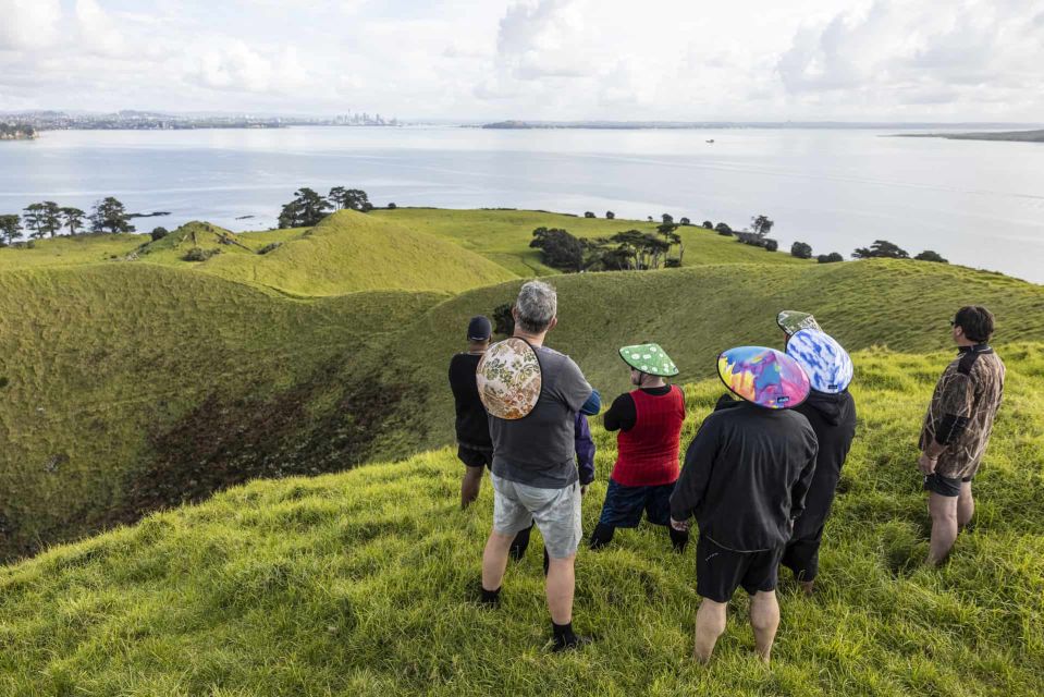 From Auckland: Browns Island Motukorea Sea Kayak Tour - Customer Reviews