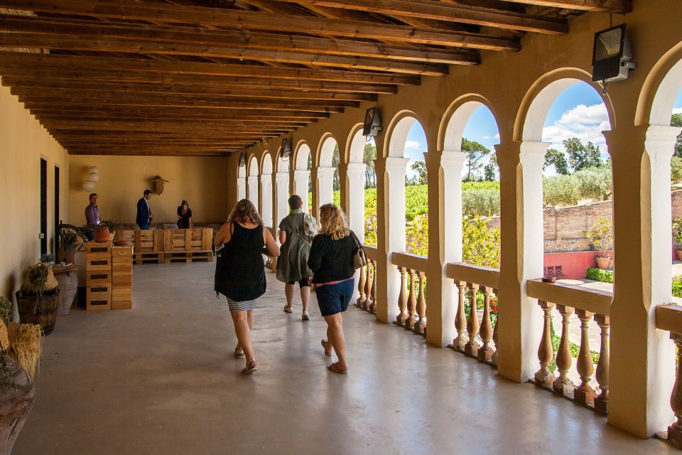 From Barcelona: Private Wine, Tapas and Cava Tour - Customer Reviews