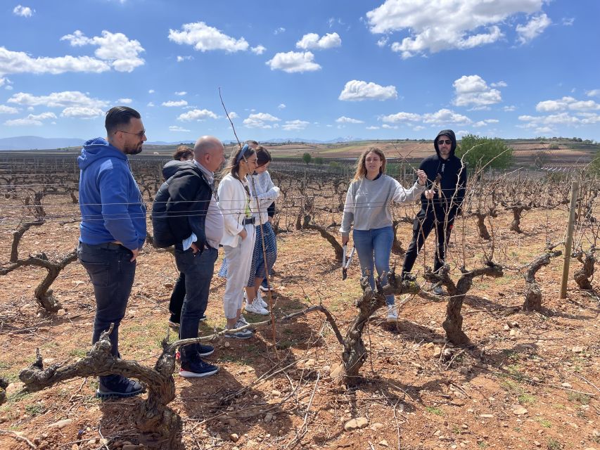 From Bilbao: Two Rioja Wineries Day Trip With Picnic Lunch - Picnic Lunch in Vineyard