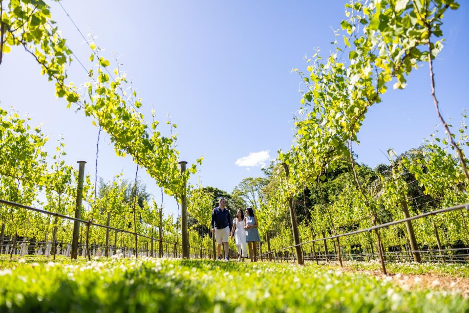 From Brisbane: Luxury Winery Tour and Gourmet Lunch - Additional Information