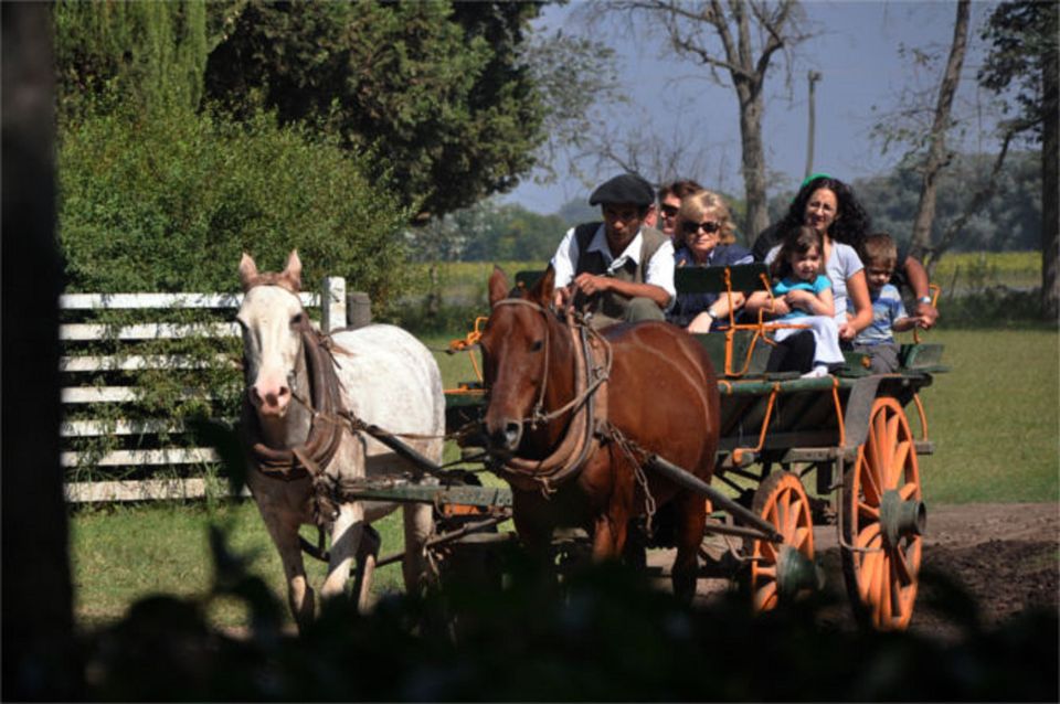 From Buenos Aires: Don Silvano Ranch Tour With Lunch. - Tips for Your Visit