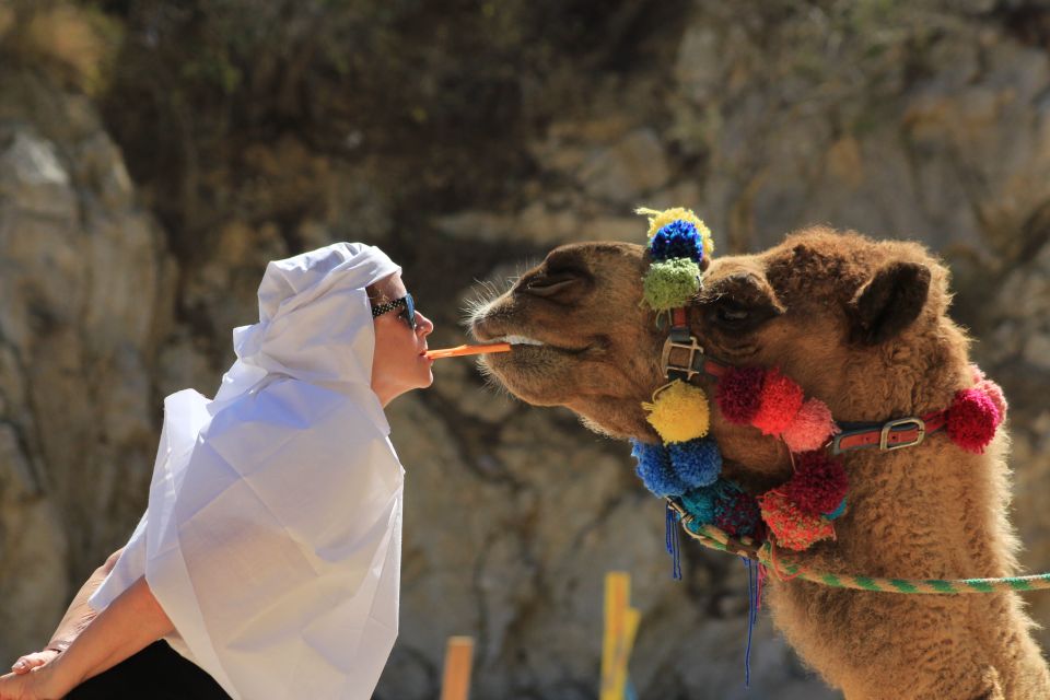 From Cabo: The Tule Canyon Camel Adventure - Professional Photography Capturing the Adventure