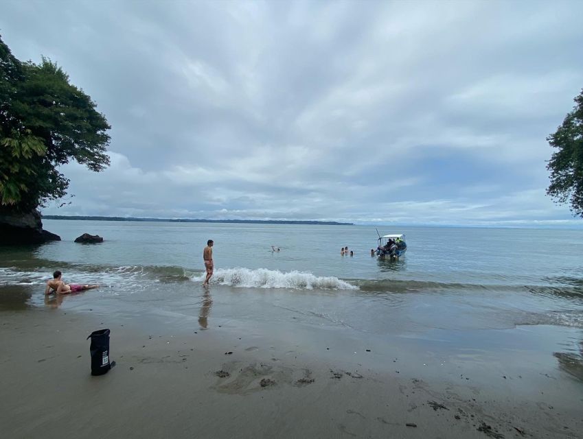 From Cali: Whale Watching Day Trip in Buenaventura - Tips for a Successful Trip