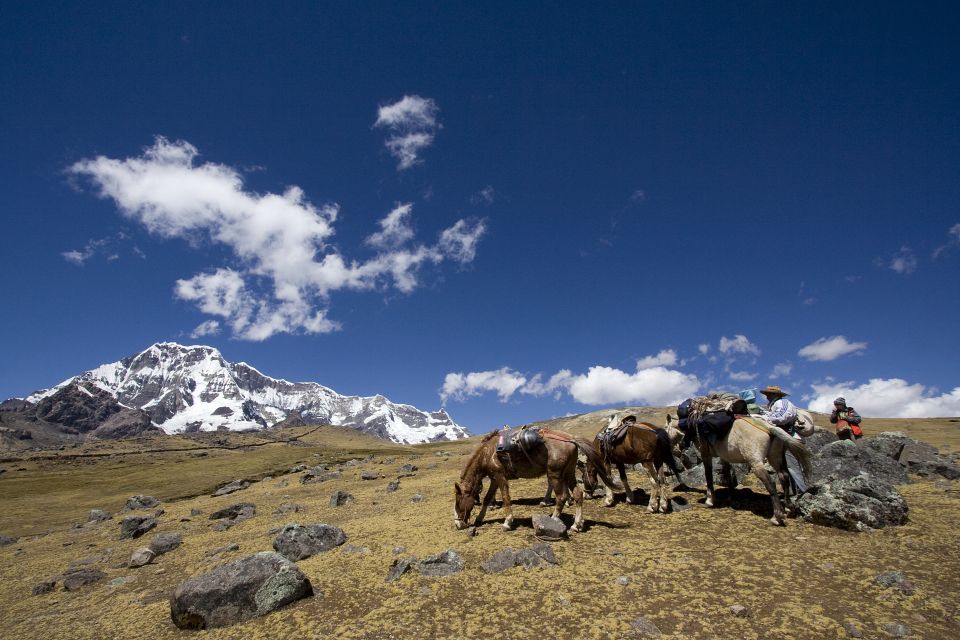 From Cusco: 2-Day Rainbow Mountain Hiking and Camping Trip - Visit to Red Valley