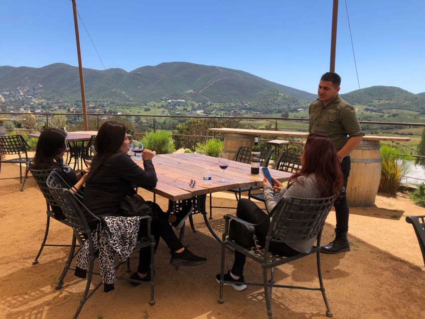 From Ensenada: Wine Tasting at Guadalupe Valley Ensenada - Local Expert