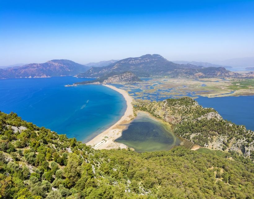 From Fethiye: Dalyan Day Trip With Mud Bath and Turtle Beach - Customer Experiences