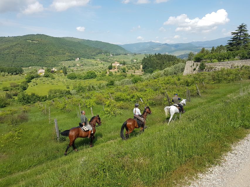 From Florence: Horseback Ride and Olive Oil and Food Tasting - Important Information