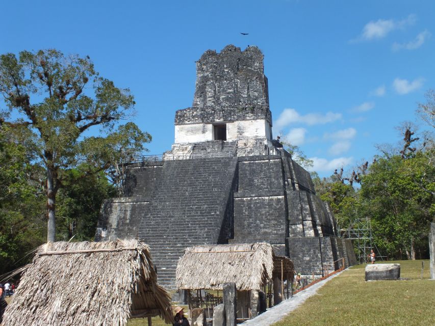 From Flores: Tikal Ruins Guided Day Trip - Tips for an Enjoyable Trip