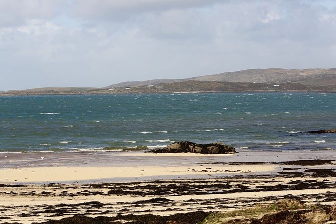 From Galway: Guided Tour of Connemara With 3 Hour Stop in Kylemore Abbey - Tour Features and Highlights