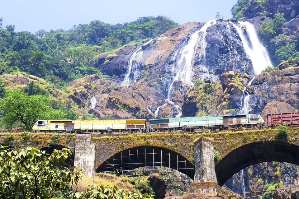 From Goa: Dudhsagar Waterfalls & Plantation Tour - Local Spice Plantation Experience