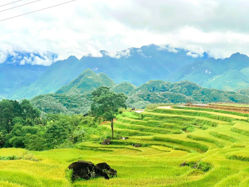 From Hanoi to Pu Luong 3 Days Unforgettable Experiences - Local Highlights