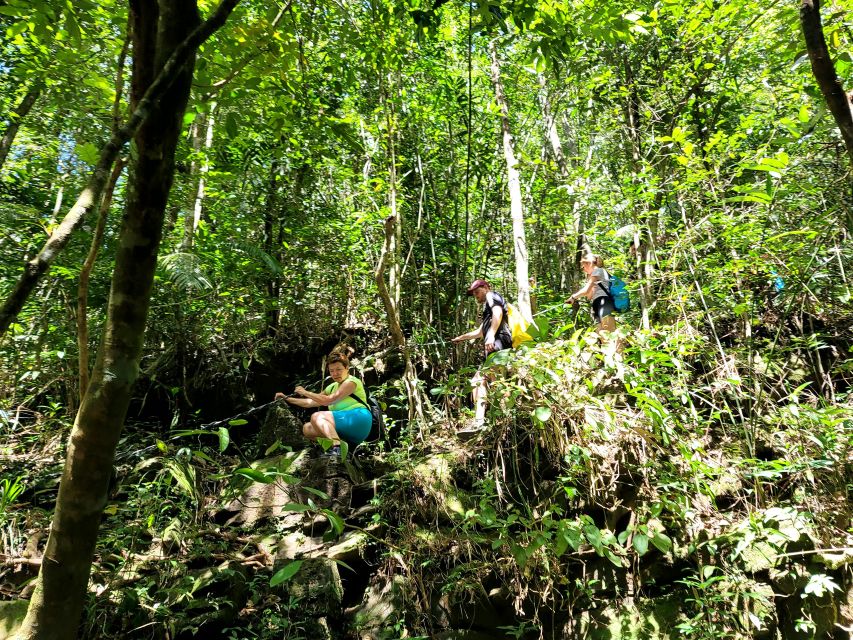 From Hue: Bach Ma National Park Hiking Day Trip With Pickup - Packing Essentials