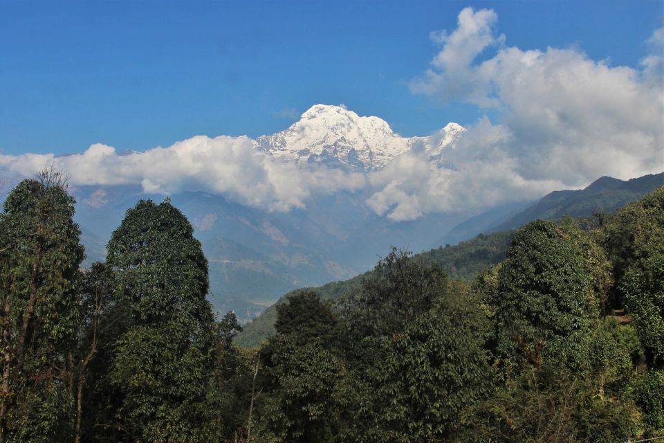 From Kathmandu :Budget 7 Night 8 Days Mardi Himal Trek - Important Travel Information