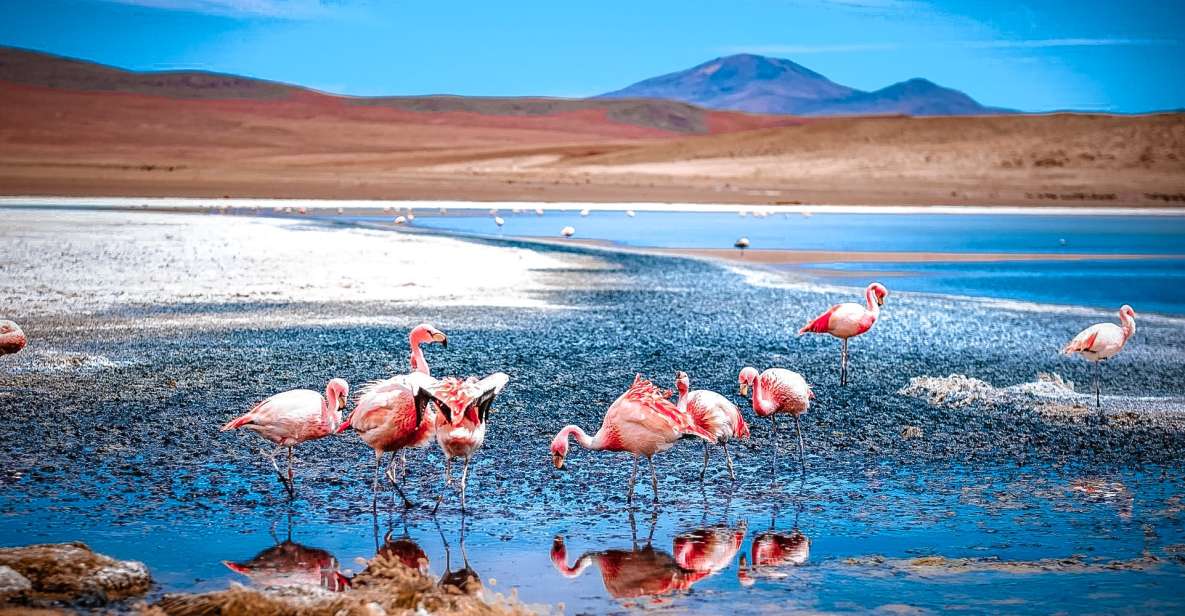 From La Paz: 4-Day Trip to San Pedro De Atacama W/Salt Flats - Important Travel Information