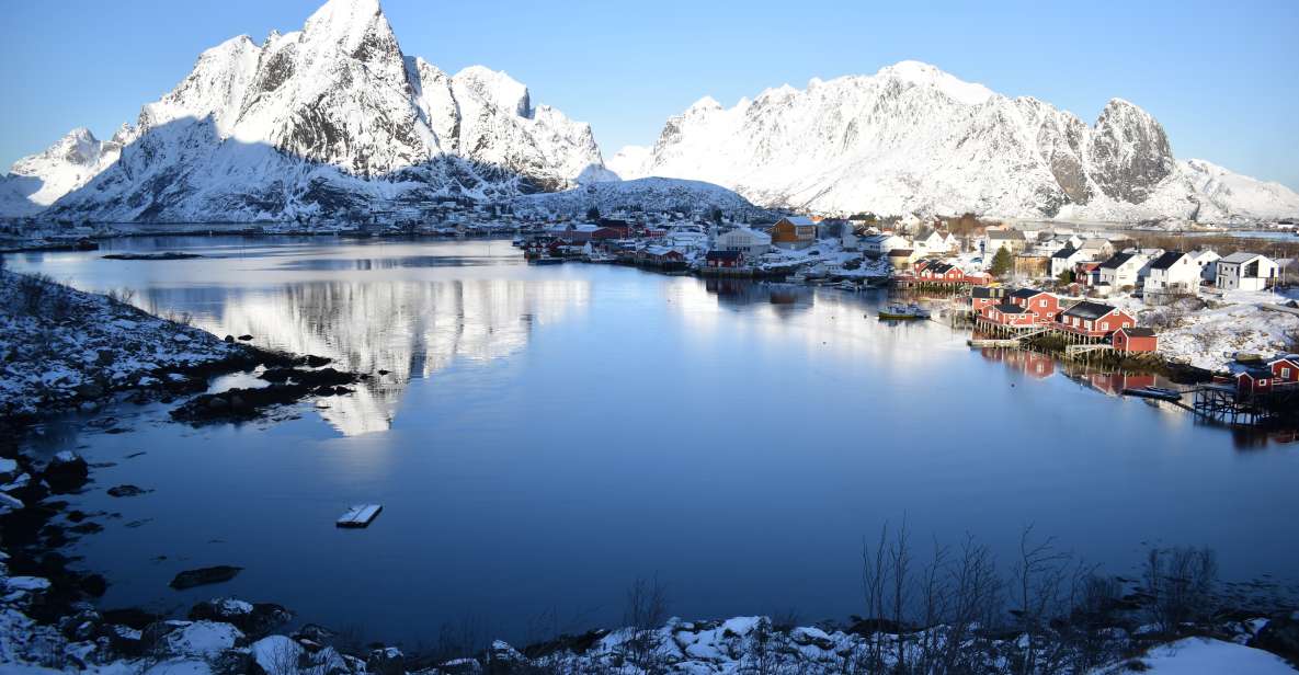From Leknes: Private Lofoten Islands Tour With Transfer - Best Time to Book