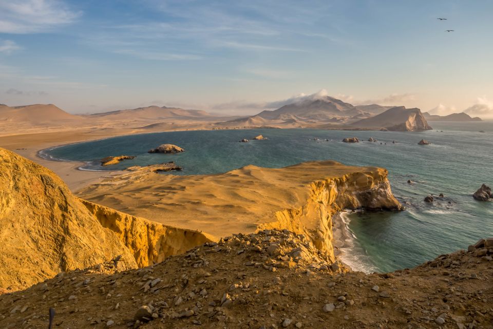 From Lima: Ballestas Island & Huacachina Oasis Private Tour - Wildlife Viewing Opportunities