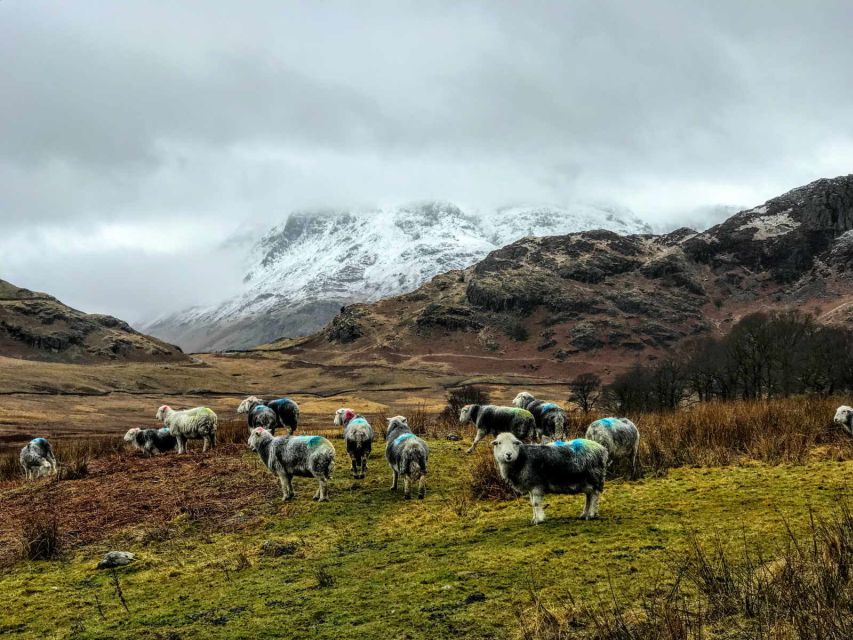 From Liverpool: Lake District Sightseeing Adventure Day Trip - Essential Items to Bring