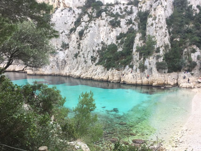 From Marseille: Customizable Private Day Tour of Provence - Customer Reviews and Experiences