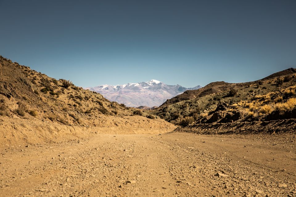 From Mendoza: Villavicencio, Uspallata Private Tour With BBQ - Booking and Cancellation Policy