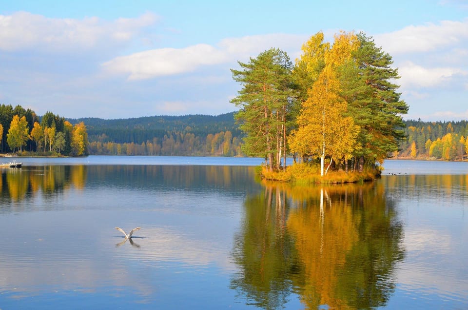 From Oslo: The Nordmarka Challenge! - Recommended Gear and Preparation