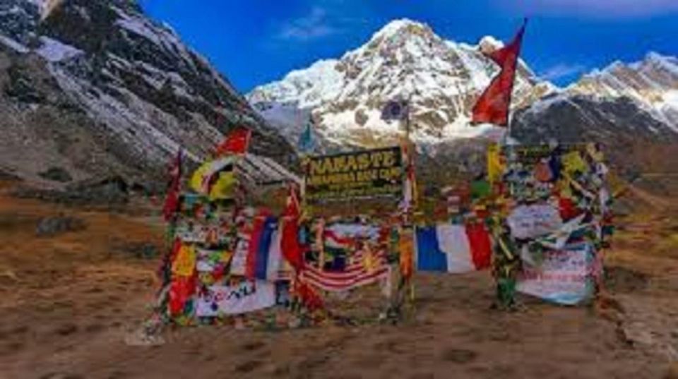 From Pokhara: 5-Day Annapurna Basecamp Trek With Hot Springs - Customer Reviews and Ratings