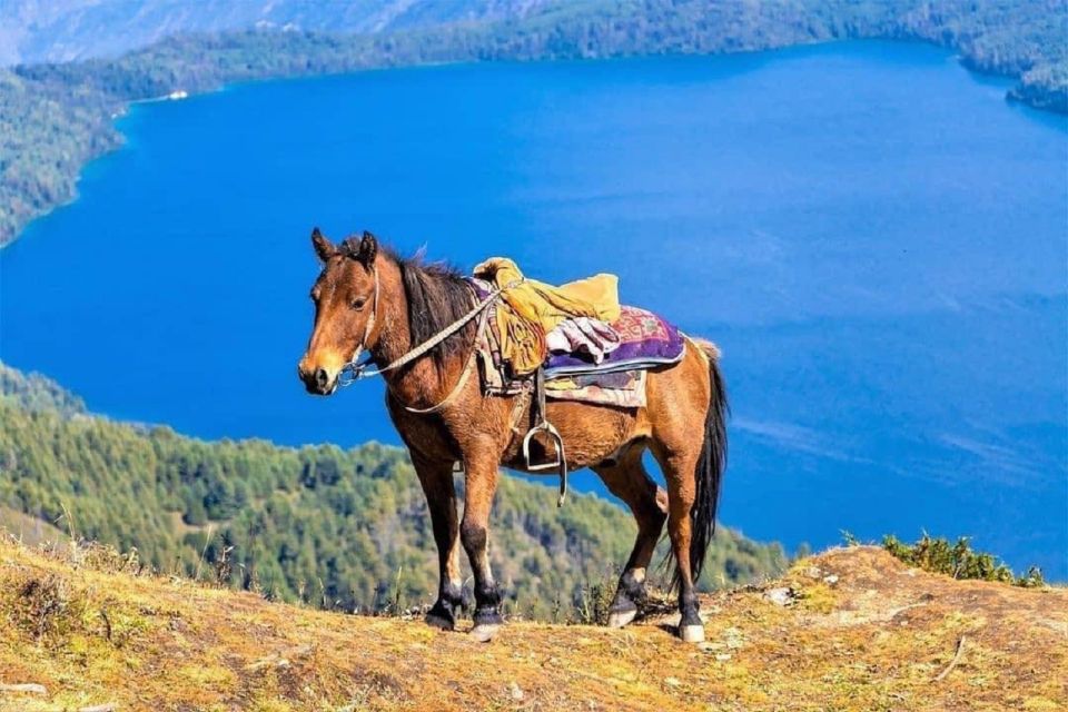 From Pokhara: Unforgettable Horseback Riding Adventure - Safety Measures and Guidelines