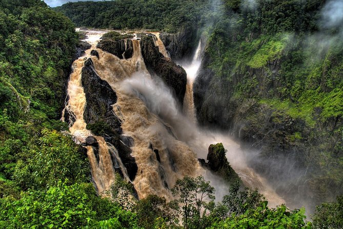 From Port Douglas Tour Including Kuranda, Skyrail & Scenic Train - Guest Reviews and Feedback
