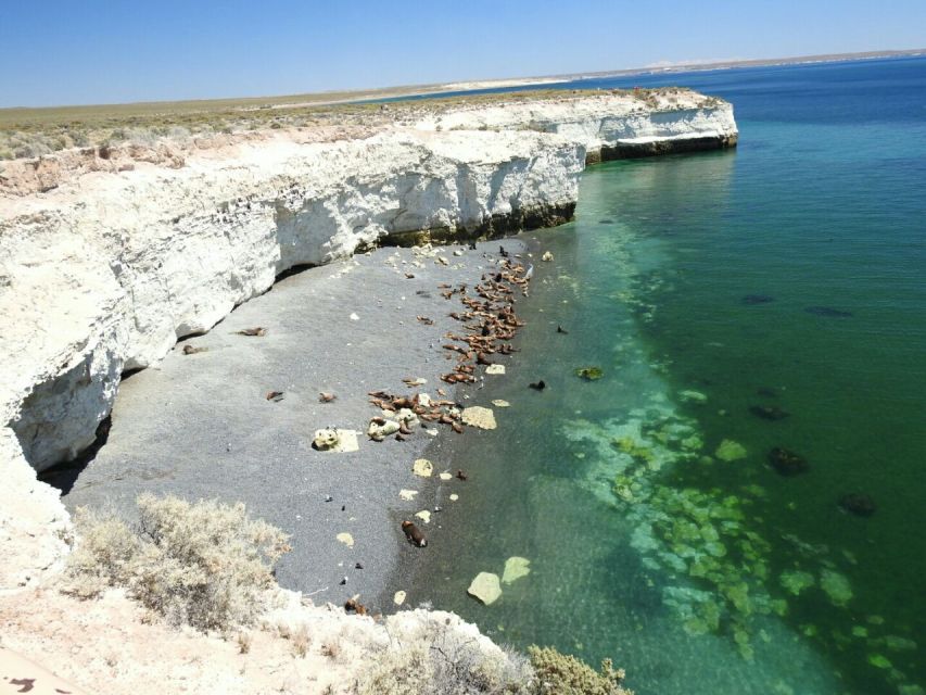 From Puerto Madryn: City and Punta Loma Tour - Travel Tips for Participants