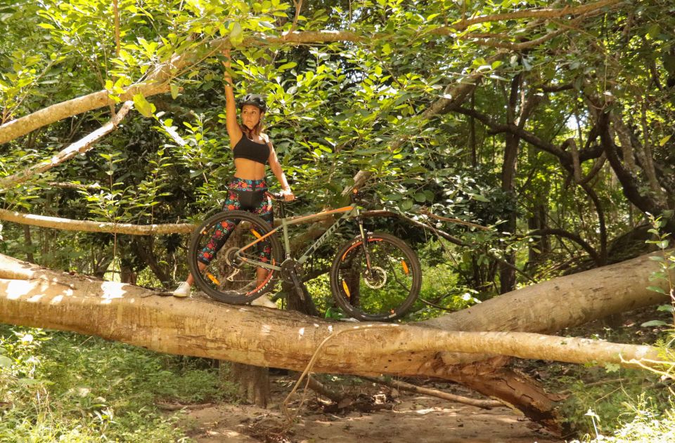 From Puerto Vallarta: Jungle Mountain Bike Tour - Included Amenities and Provisions