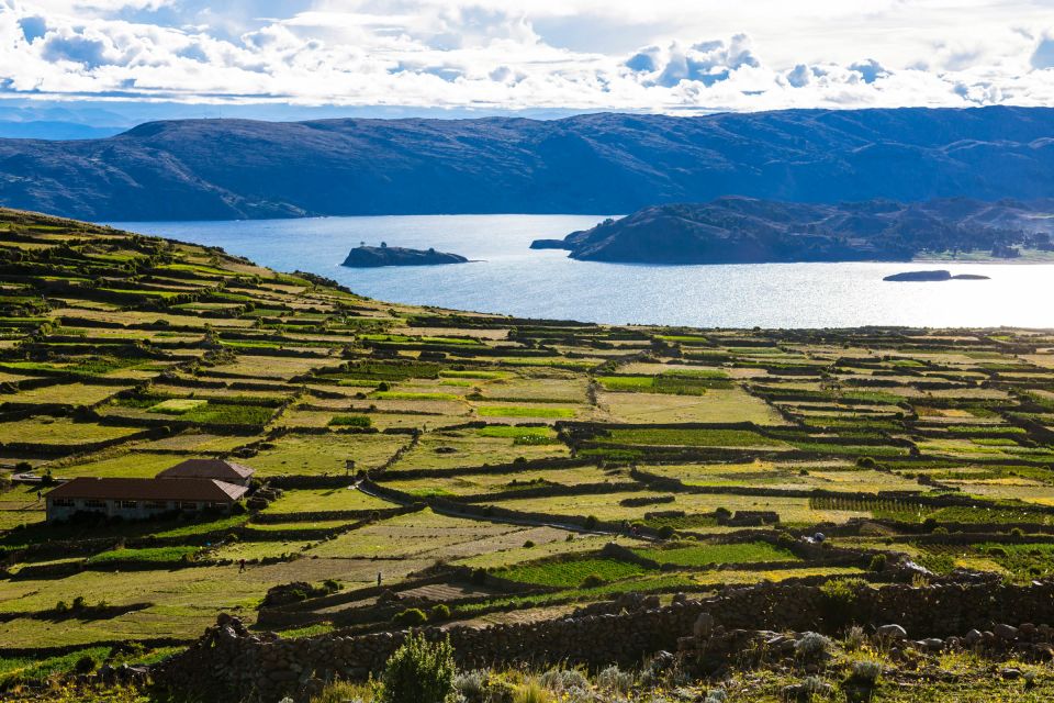 From Puno: Uros, Amantaní & Taquile Islands 2-Day Tour - Customer Reviews