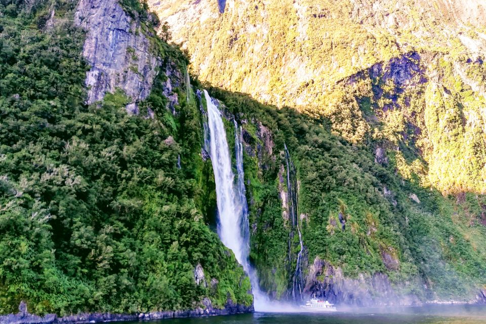 From Queenstown: Milford Sound Premium Day Tour and Cruise - Activities and Stops