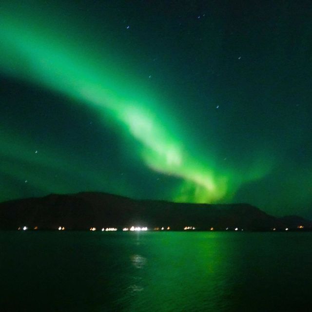 From Reykjavik: Northern Lights Boat Cruise - Tips for an Enjoyable Experience