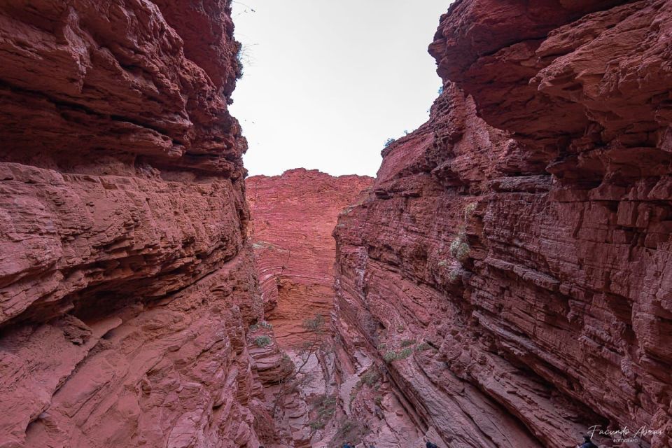 From Salta: 2 Day Guided Trip to Cafayate & Salinas Grandes - Suitability and Restrictions