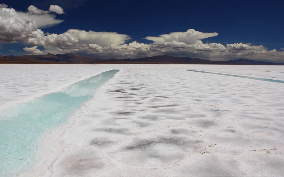 From Salta: Cachi, Humahuaca and Salinas Grandes in 3 Days - Shopping in Purmamarca