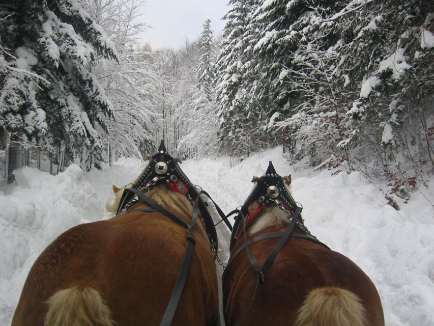 From Salzburg: Romantic Sleigh Ride Through the Countryside - Best Time to Go