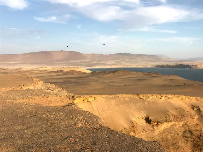 From San Martin: Ballestas Islands and Paracas Reserve - Tips for Your Visit