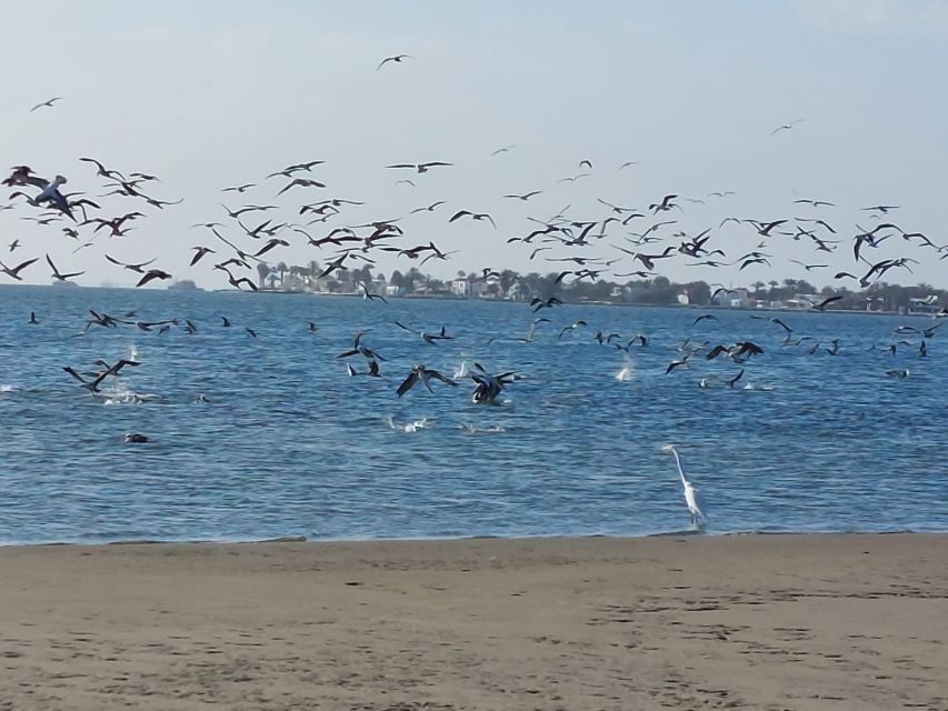 From San Martin Port: Ballestas Island & Paracas Reserve - Frequently Asked Questions