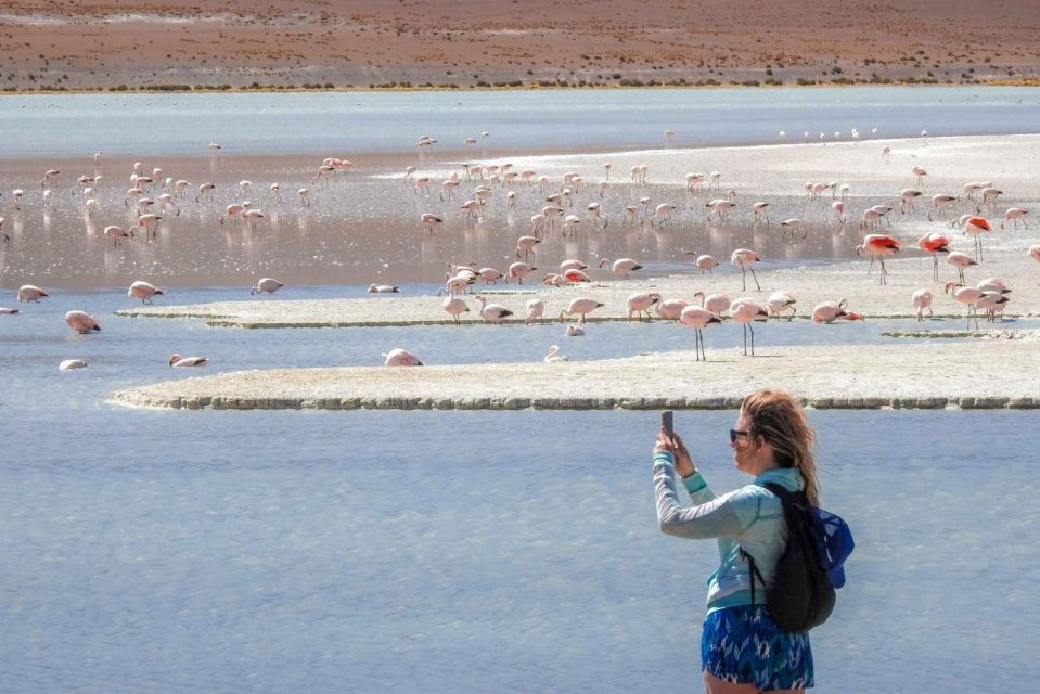 From San Pedro De Atacama | Uyuni Salt Flat 3 Days in Group - Customer Experiences and Feedback