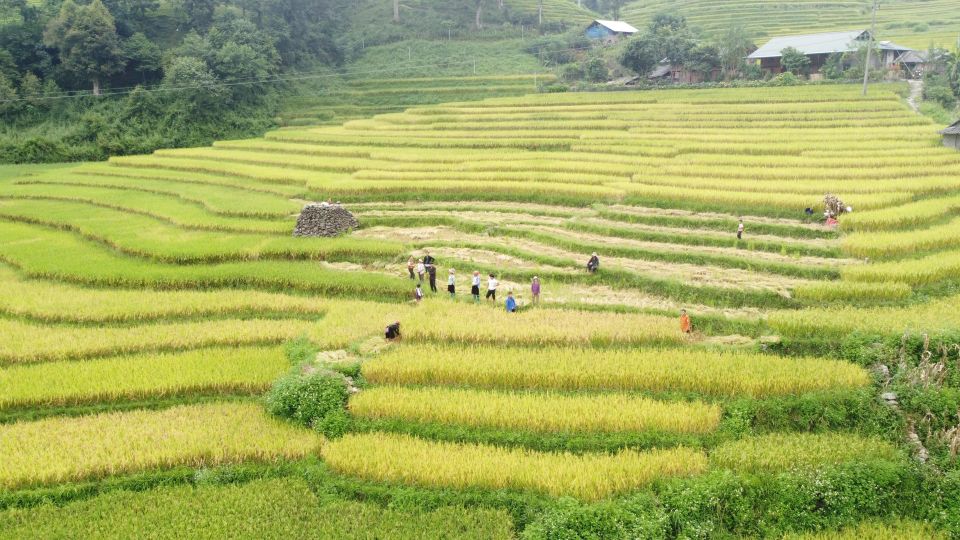 From Sapa: Terrace Fields and Local Villages Trek With Lunch - Best Time to Visit