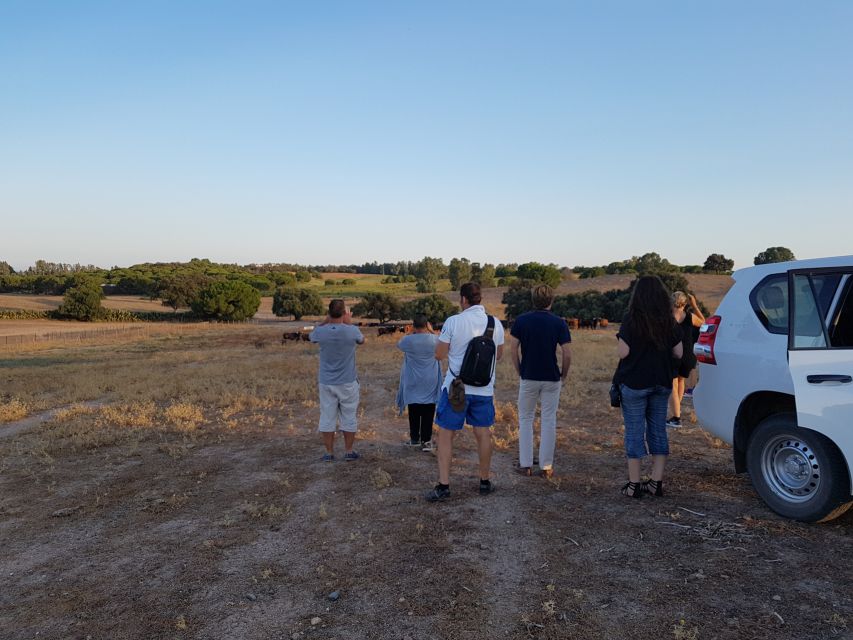 From Seville: Half-Day Bull Breeding Farm Tour - Pickup and Transportation