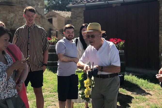 From Siena: Pienza and Montepulciano Wine Tour - Exploring Pienza and Montepulciano