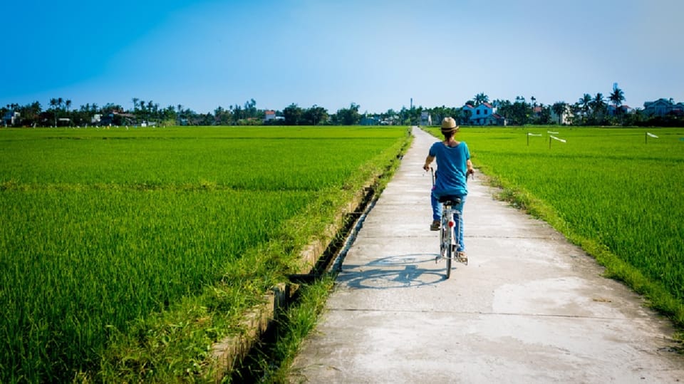 From Tien Sa Port: Da Nang and Hoi An Private Day Tour - Accessibility Features